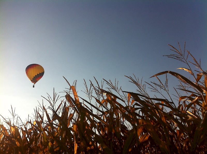 good weather for balloon ride